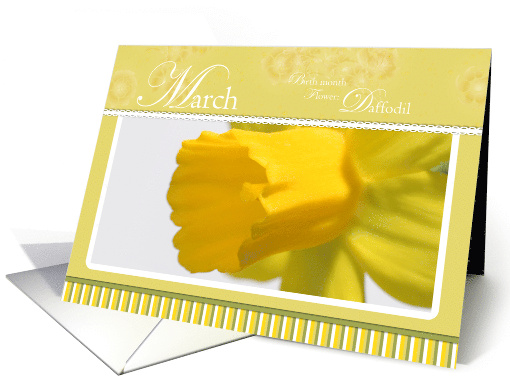Daffodil Flower of the Month for March Birthdays card (786877)