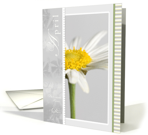 Single Daisy Flower for April Birthday card (788230)