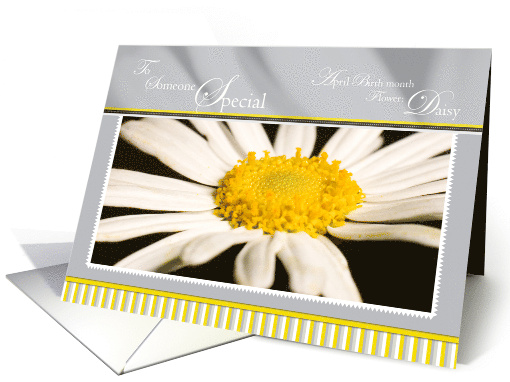 Birthday Someone Special with Daisy Flower card (790551)
