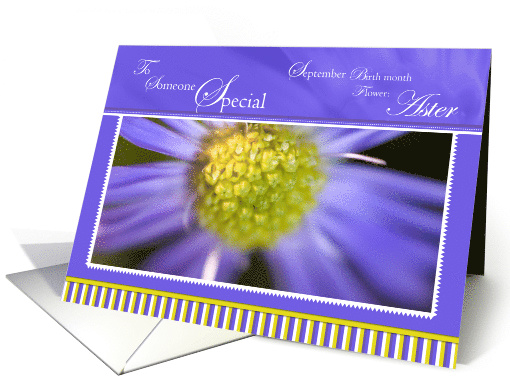 Aster Someone Special Birthday card (790558)