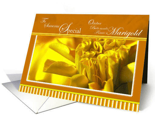 Marigold Birthday Someone Special card (790562)