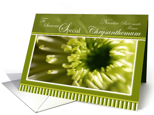 Chrysanthemum Someone Special Birthday card (790563)