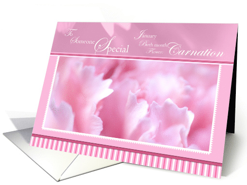 Pink Carnation Someone Special Birthday card (790564)