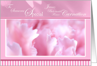 Pink Carnation Someone Special Birthday card