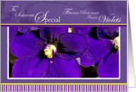 Bunch of Violets Someone Special February Birthday card