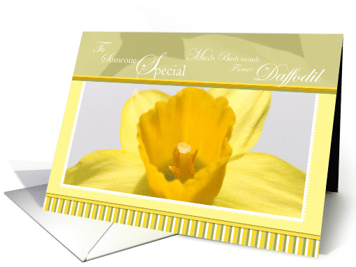 Daffodil March Birthday Someone Special card (790566)