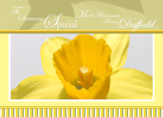 Daffodil March...
