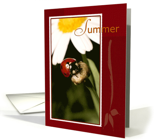 Summer Season Ladybug on Flower card (790652)