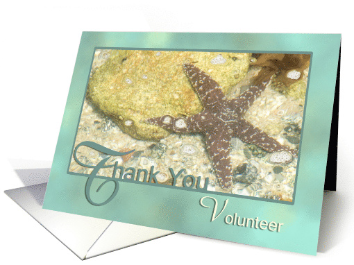 Starfish Volunteer Thank You card (833046)