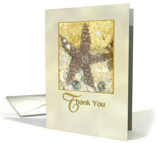 Starfish and Rocks Thank You card (833047)