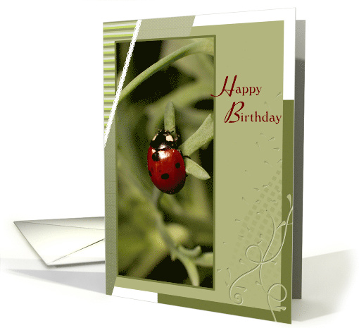Lady Bug on Leaf Happy Birthday card (836833)