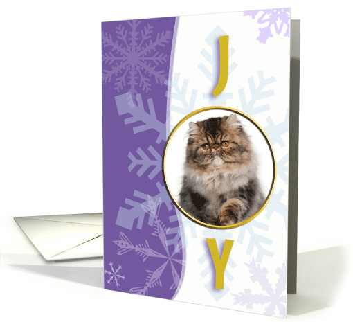 Joy and Snowflakes Single Photo card (850919)