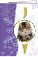 Joy and Snowflakes Single Photo Card