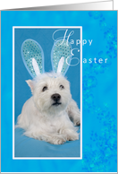 West Highland Terrier Happy Easter card