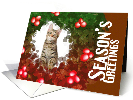 Custom Front Season's Greetings and New Year Photo card (855893)