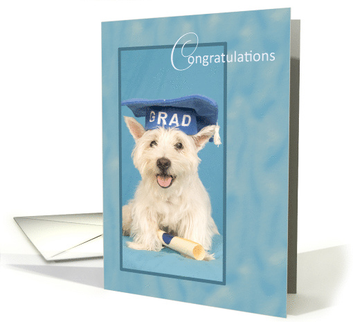 West Highland Terrier Dog Congratulations Graduate card (878890)