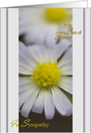 Wildflower Sympathy In Lieu of Flowers card