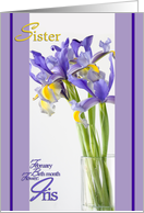 Birthday for Sister, Iris Birth Month Flower for February card