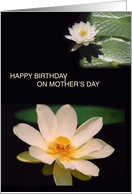 Water Lilies Happy Birthday on Mother’s Day card