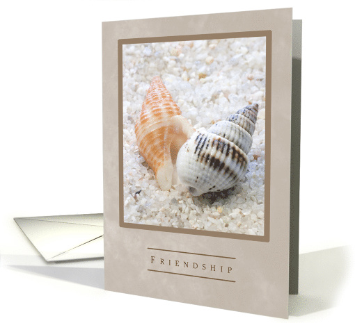Twisted Pair Seashells Friendship card (927617)