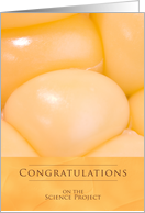 Corn Kernels Science Fair Congratulations card