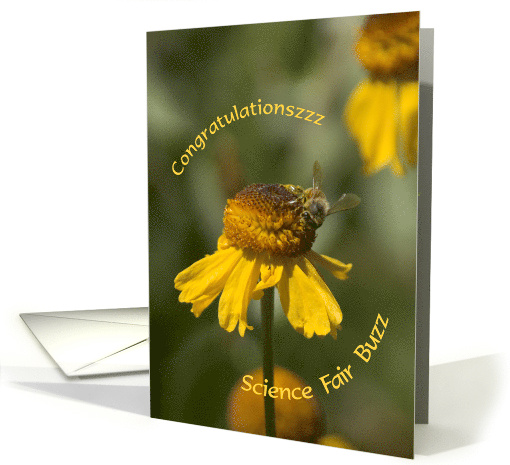 Bee on Wildflower Science Fair Congratulations card (933204)