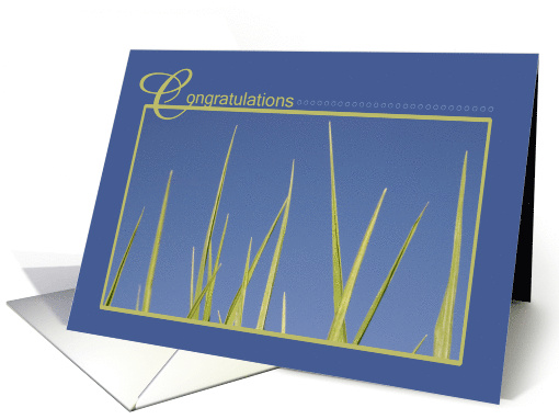 Grass Blades Science Fair Congratulations card (933360)