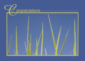 Grass Blades Science Fair Congratulations