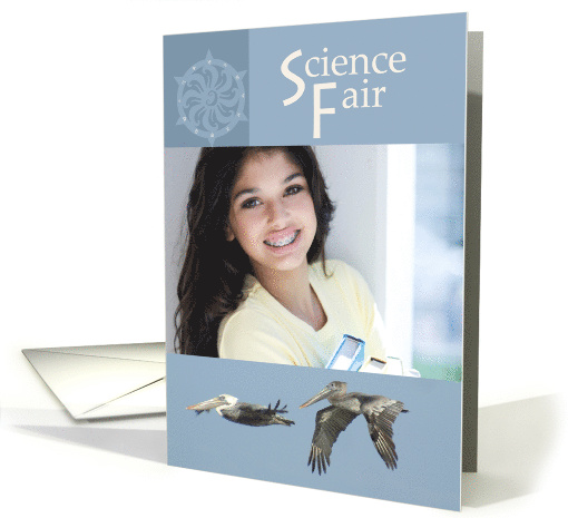 Pelicans Birds Custom Photo Science Fair Congratulations card (933365)
