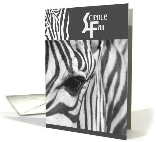 Zebra Science Fair Congratulations card (933369)