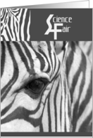 Zebra Science Fair Congratulations card