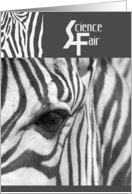 Zebra Science Fair...