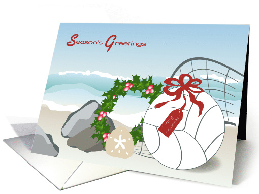 Beach Volley Ball Season's Greetings card (944974)