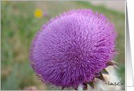 purple flower card