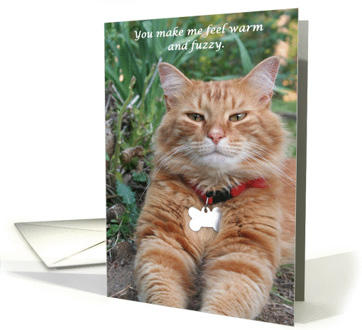 Warm and Fuzzy card (715743)