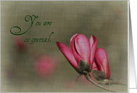 You Are So Special Friendship card