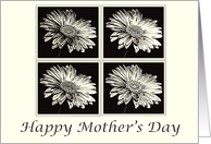 Single Mom, Happy Mother’s Day Flowers card