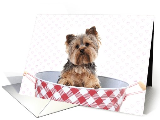 Be My Valentine from a Cute Little Dog card (745517)