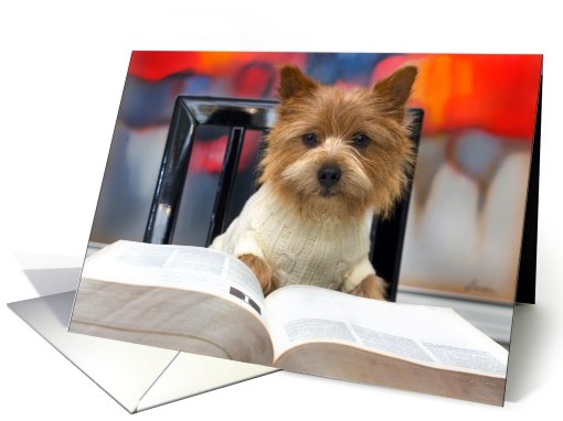 Cute Little Dog Reads A Book invites you to a Birthday Party card