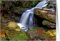 Leura Cascades card
