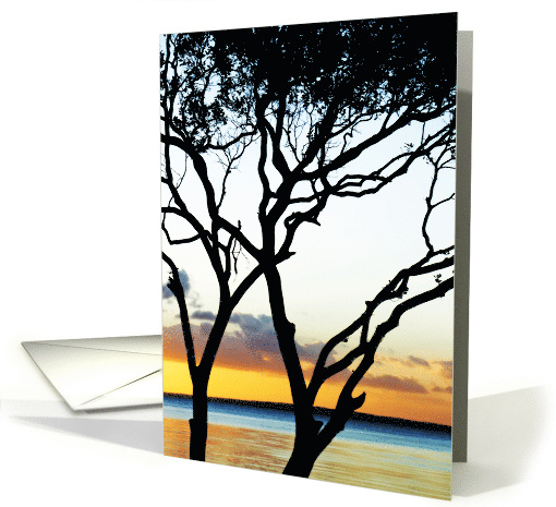 Tree Silhouette Sunset, Fraser Island card (719151)