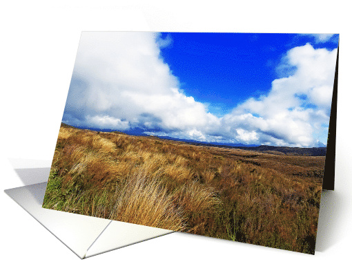 Grassy landscape of New Zealand card (719157)