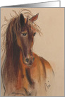 Horse Brown Horse Bay Horse Fine Art Blank card