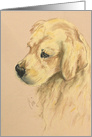 Golden Retriever Dog Art Thinking of You card