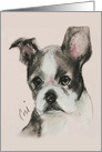 Boston Terrier Puppy Dog Art Thinking of You card