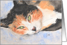 Calico Cat Fine Art Thinking of You card