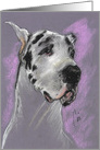 HarlequinGreat Dane Dog Fine Art Blank Any Occasion card