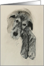 Irish Wolfhound Dog Fine Art Blank Any Occasion card