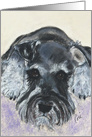 Schnauzer Dog Fine Art Blank Any Occasion card