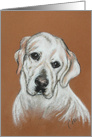 White Labrador Retriever Dog Fine Art Thinking of You card